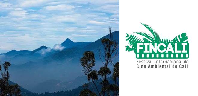 Se realiza en Cali Festival Internacional de Cine Ambiental