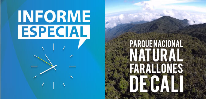 �Por qu� conservar los ecosistemas del Parque Nacional Natural Farallones de Cali?