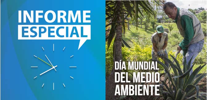 ACCIONES POR UN MEJOR MEDIO AMBIENTE EN LA CIUDAD DE CALI