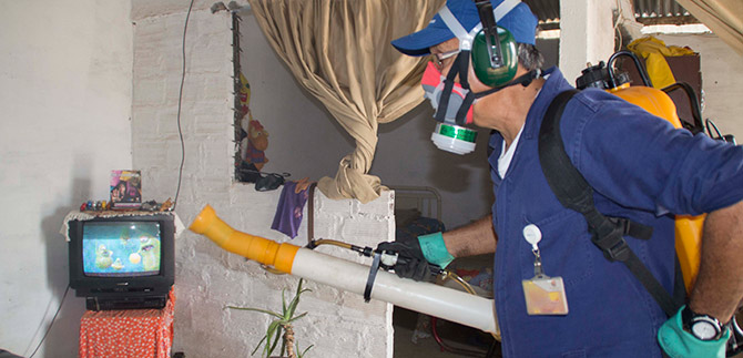 Cali, sede del 1er congreso latinoamericano para el control del Aedes Aegypti