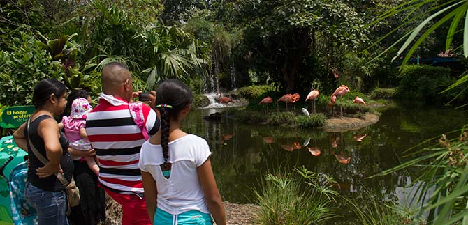 Nios y adultos mayores carretilleros disfrutarn del Zoolgico