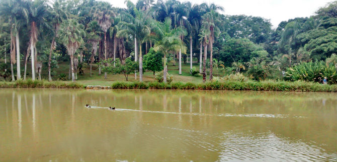 Por conservaci�n, se restringen algunas actividades en los humedales