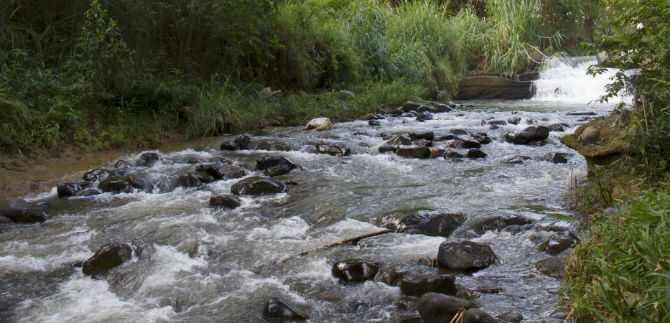 Acciones en el ro Melndez empiezan a dar resultados