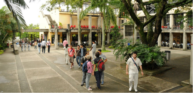 Semilleros de Ciencias en la Universidad del Valle