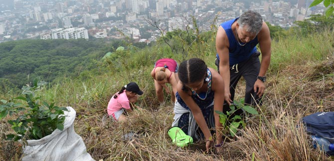 Se suspenden actividades de siembra en Cali hasta retornar periodo de lluvias