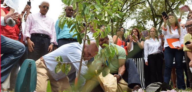 Alcalde Armitage, fiel a su compromiso con el medio ambiente
