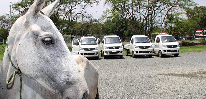 En noviembre se realizar la entrega de 275 vehculos de carga a carretilleros