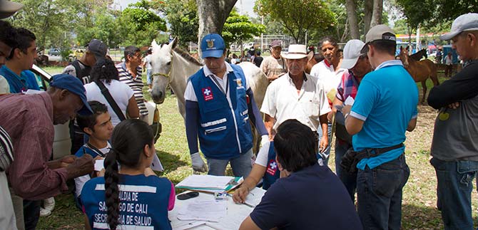 Ms de 100 caballos carretilleros ya se jubilaron