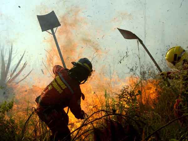 Denuncie a los pirmanos y ayude a prevenir incendios forestales