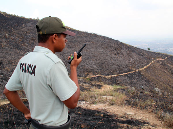 Alcalde (e) de Cali convoca la solidaridad ciudadana para prevenir incendios forestales