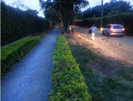 Peatones imprudentes son sancionados en Cali