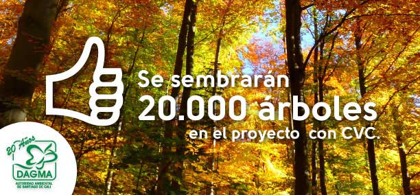 Proyectos de renovaci�n arb�rea