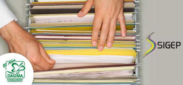 DAGMA ejemplo en actualizaci�n del SIGEP