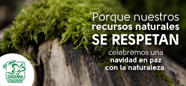 Navidad: tiempo de uni�n familiar y de respeto  por nuestros recursos naturales