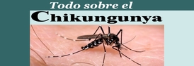 img105170.jpeg