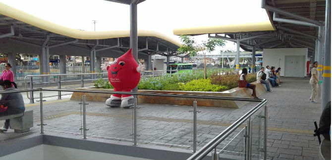 El MIO brinda espacios l�dicos y saludables para sus usuarios