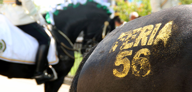 Disfrute la Cabalgata y dem�s eventos de la Feria de Cali