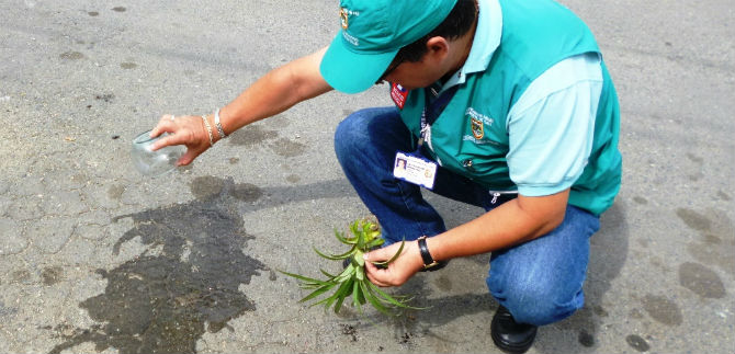 Secretar�a de Salud, en tercera jornada contra criaderos del zancudo del dengue