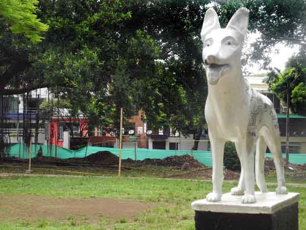 Ordenamiento Urban�stico autoriz� obras en el Parque del Perro