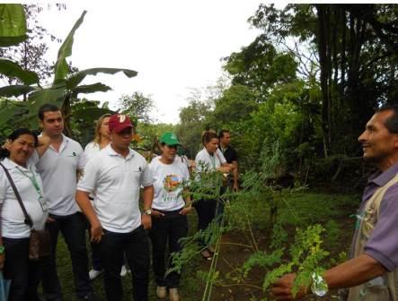 M�s de 600 cale�os y turistas han disfrutado la Ruta Verde de Cali promovida por el Dagma