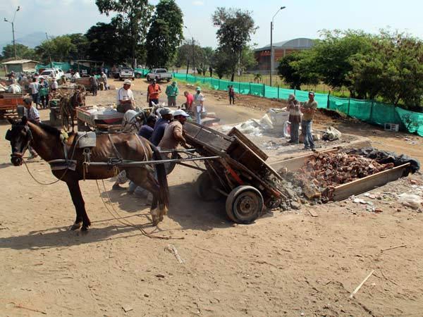 En la recta final, sustituci�n de veh�culos de tracci�n animal; est�n listos 229 automotores