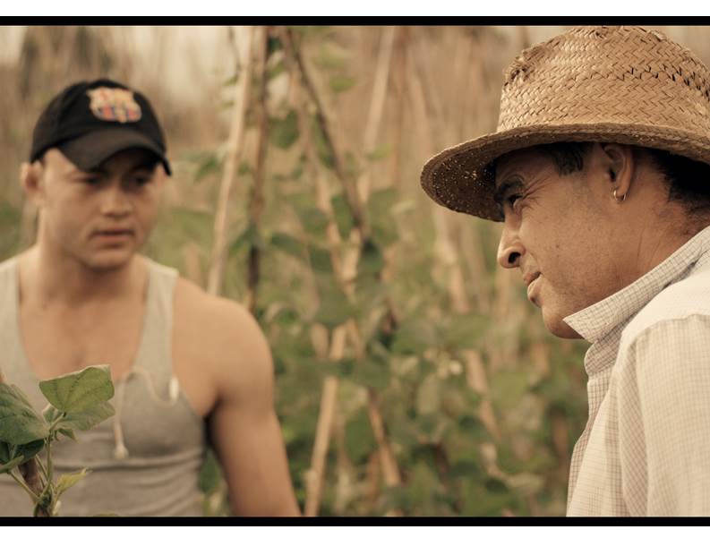 Festival Internacional de Cine de Cali proyectar� en sectores populares de la ciudad