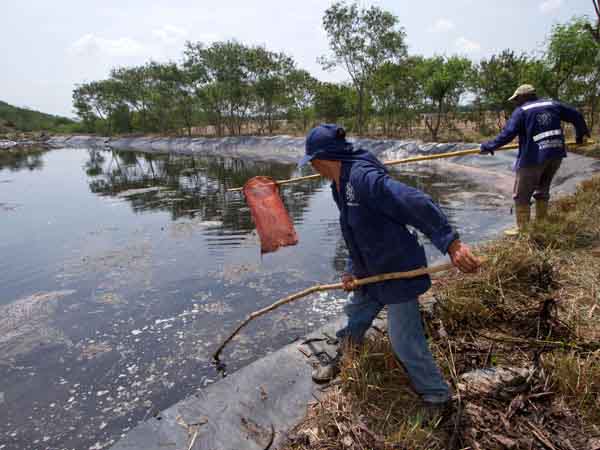 Avanza proceso por la planta de tratamiento de lixiviados para Navarro