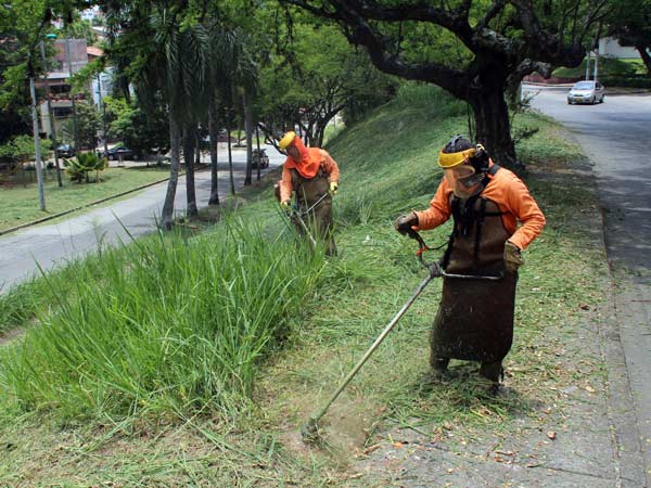 Avanza el proceso de mantenimiento de zonas verdes en las 22 comunas de Cali