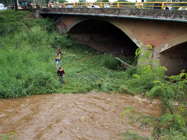 Separadores viales y riberas de los r�os,  prioridad en mantenimiento de zonas verdes