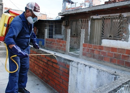 El secretario de Salud de Cali y un equipo de operarios combatir�n al transmisor del dengue; este jueves, gran fumigaci�n