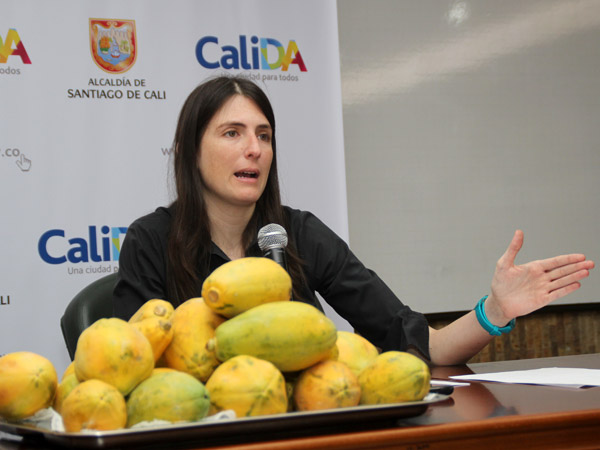 D�as de �papayazo� tributario para la ciudadan�a
