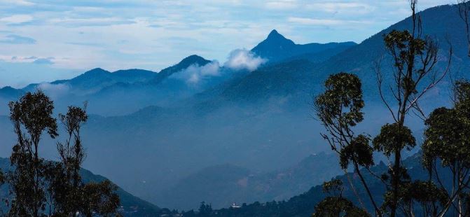 Se presenta obra que revela hallazgos  Cient�ficos en zona rural de Cali