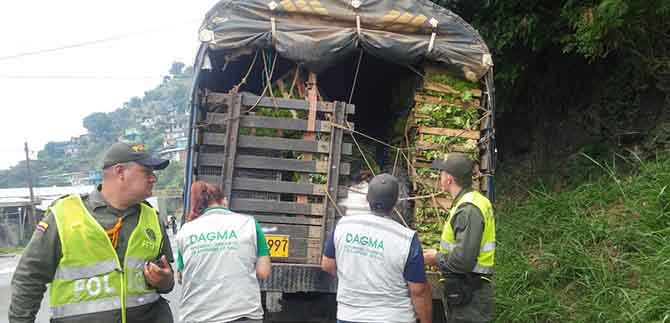 Operativos de control de flora y fauna se intensificar�n por parte del Dagma