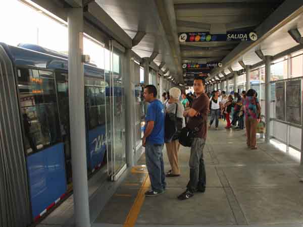 �El M�O garantiza la movilidad de los cale�os�: 800 buses operan con normalidad
