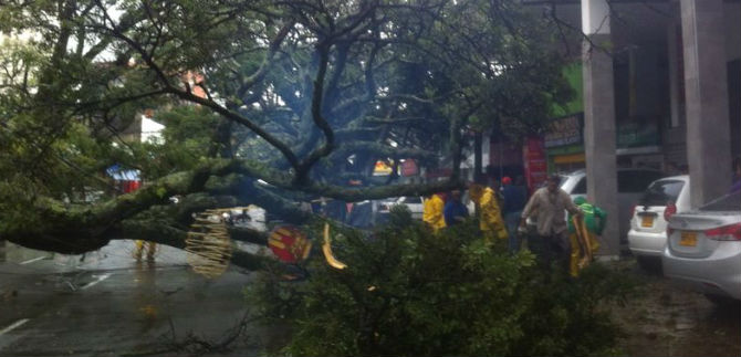 Dagma presenta recomendaciones para siembras responsables  y proyectos para 2014