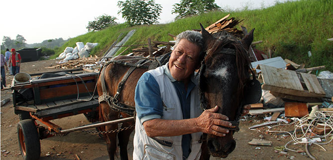 Opcin de ser adoptante de los equinos que entregarn carretilleros est vigente
