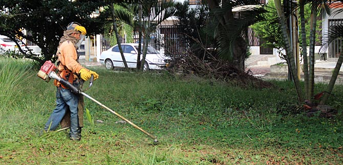 Vence plazo para concursar por el mantenimiento de zonas verdes de Cali
