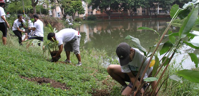 Con la liberacin de mariposas se cerr la bicicletada