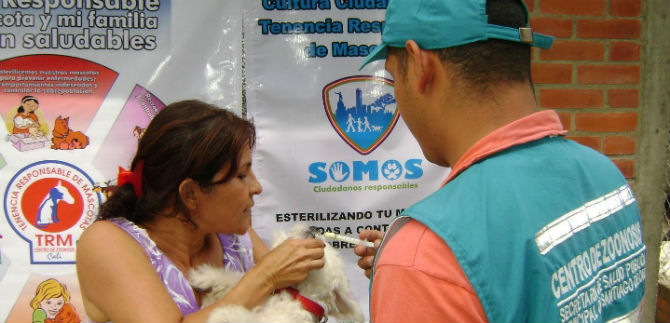 Centro de Zoonosis Cali est funcionando con normalidad