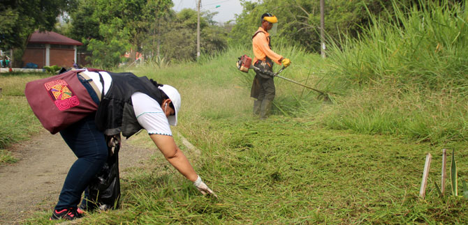 Primer mantenimiento en zonas verdes se realizar hasta abril: Dagma