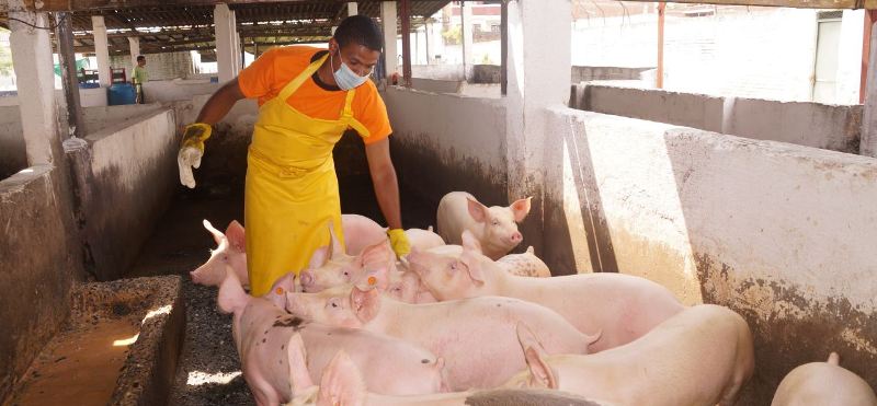 Internos de Villahermosa se capacitan en diferentes oficios