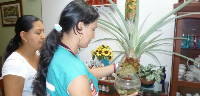 Inspeccionadas 850 casas en la comuna 14, en jornada contra el Dengue