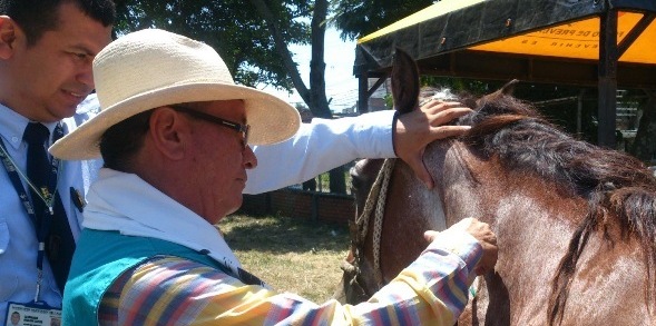Salud Pblica y Trnsito realizan jornada de preadopcin equina
