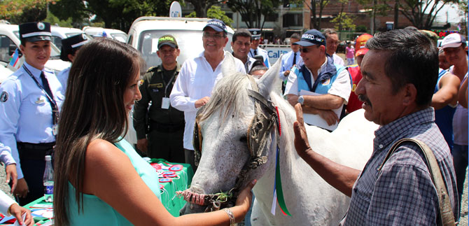 Fallo da la raz�n al Municipio frente a proceso de carretilleros