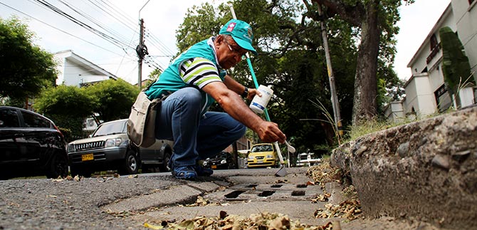 Dengue disminuy� 66,17 % en la ciudad; ser�n intensificadas las jornadas de fumigaci�n