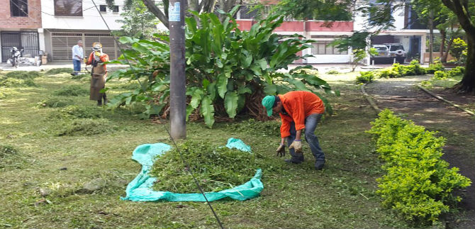 Dagma poda esta semana 85 sitios en 18 comunas