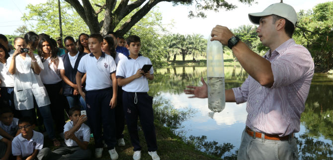Con siembra de mil peces se inici� lucha contra el chikunguya y el dengue