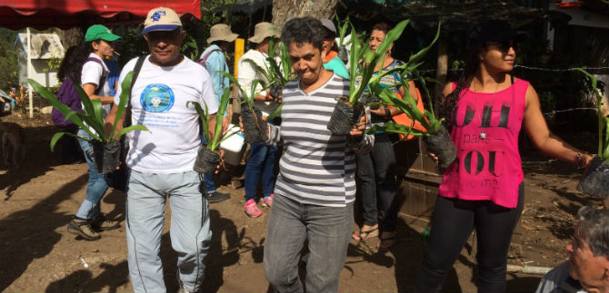 Con siembra y mantenimiento buscan proteger ecosistema en torno a Piedragrande