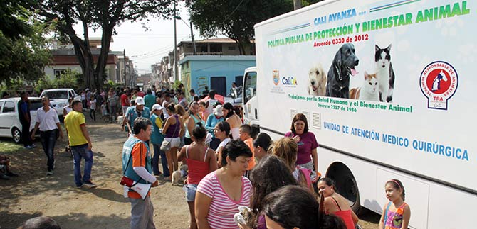 Ciudad C�rdoba se ejercita en tenencia responsable de animales de compa��a