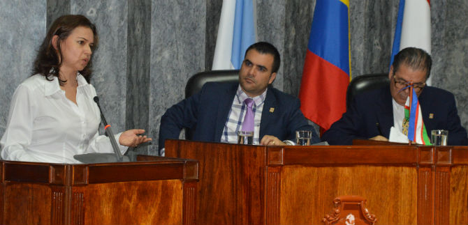 En primer debate del Concejo, Secretaria de Cultura anuncia presencia en comunas